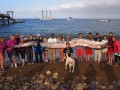 美国加州现近6米长皇带鱼 需15人抬